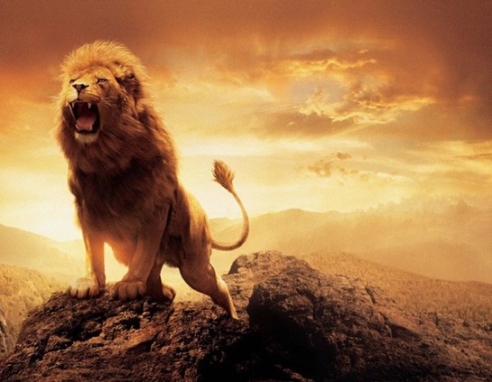 roaring-lion